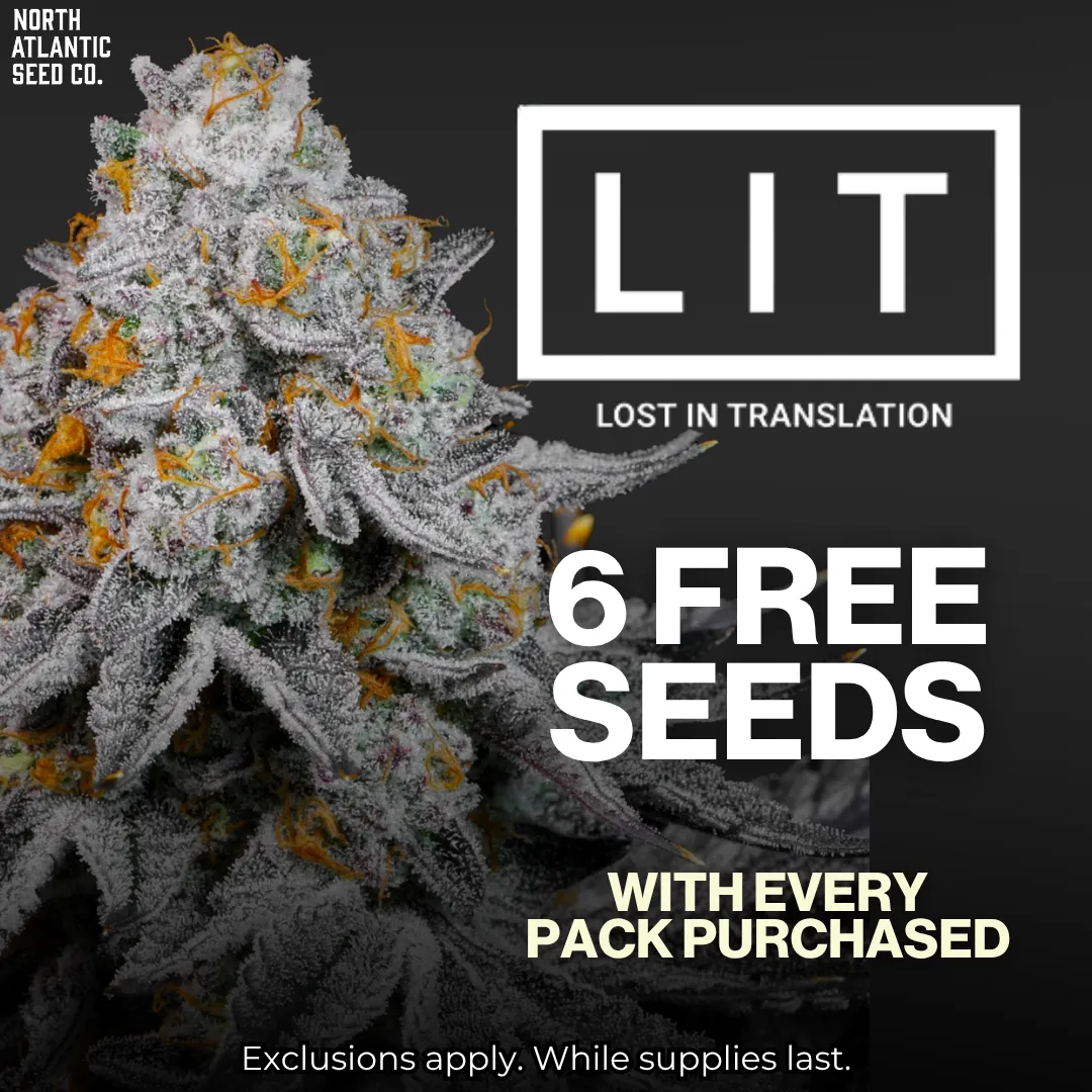 LIT Farms