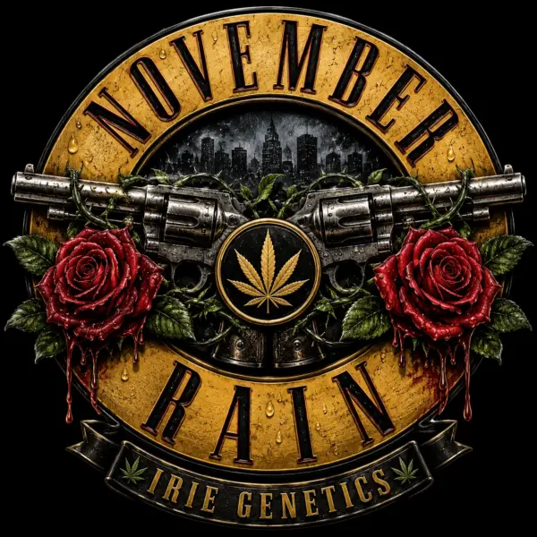 November Rain Cannabis Seeds by Irie Genetics