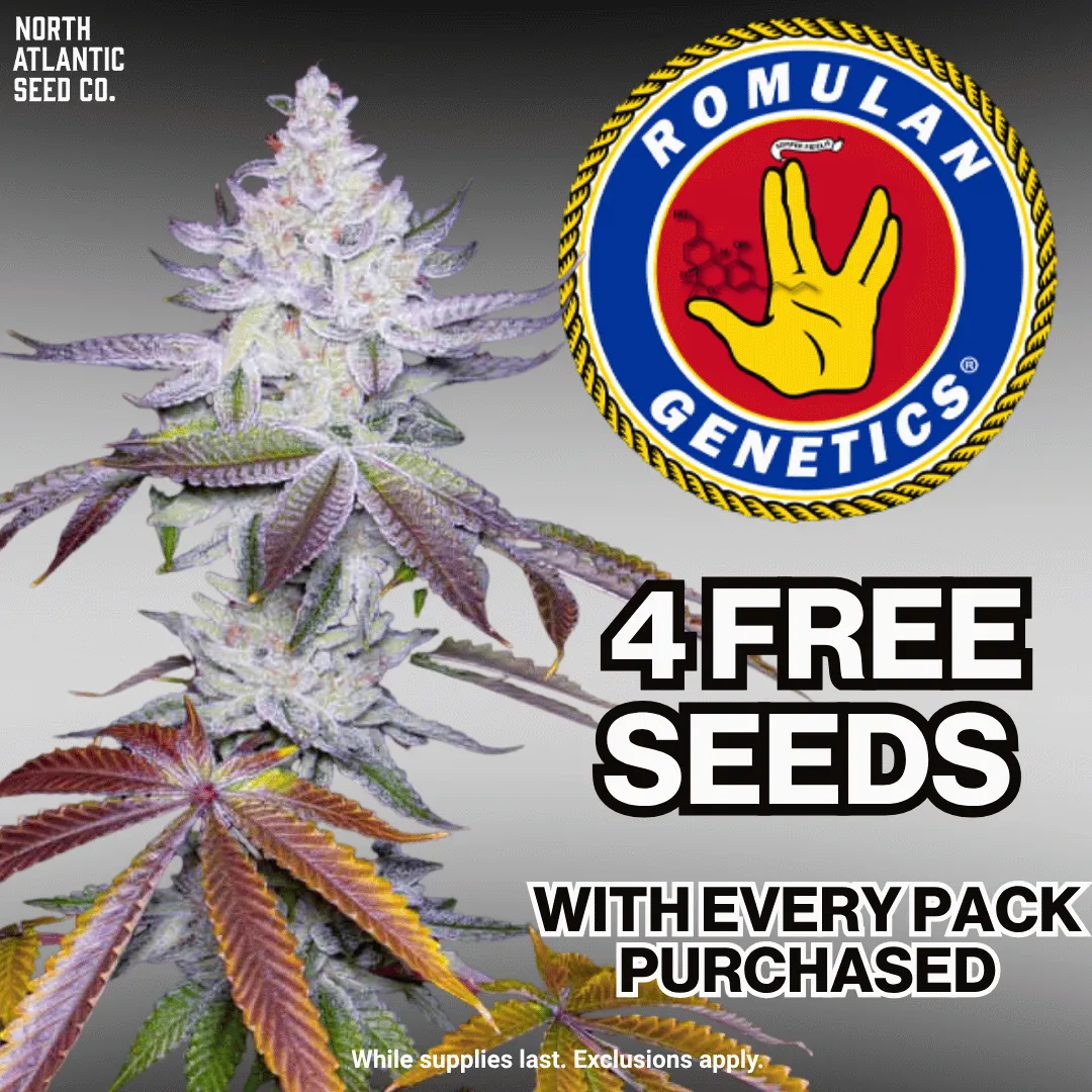 Romulan Genetics