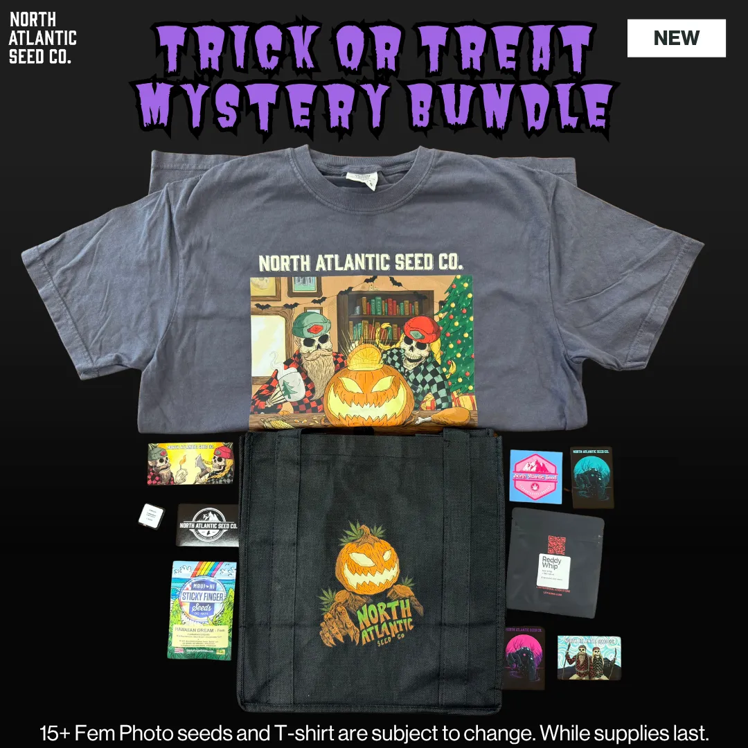 Trick or Treat Mystery Bundle