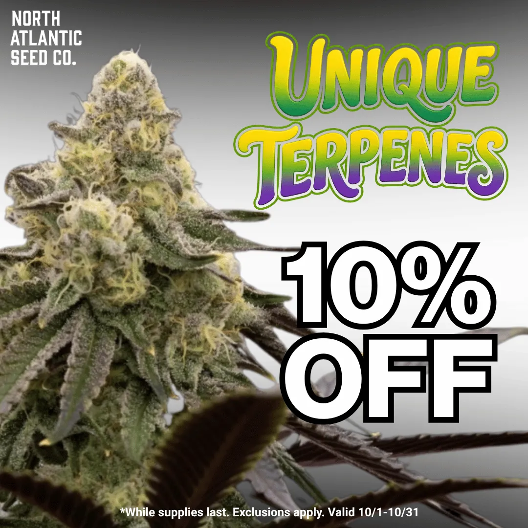 Cannabis Seeds with Unique Terpene Profiles