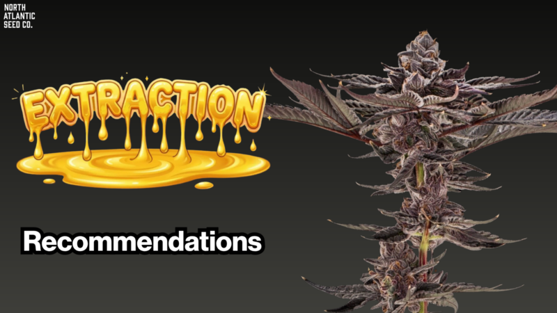 Extraction Recommendations