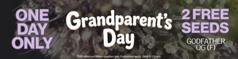 Grandparent's Day Freebie Offer Banner