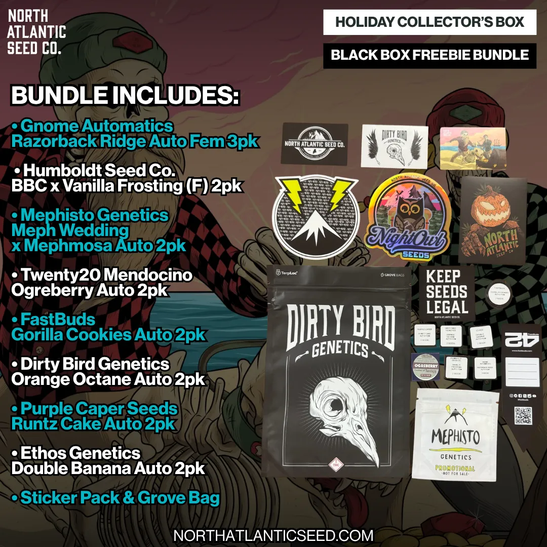 Holiday Collector's Box - Black Box Freebie Bundle