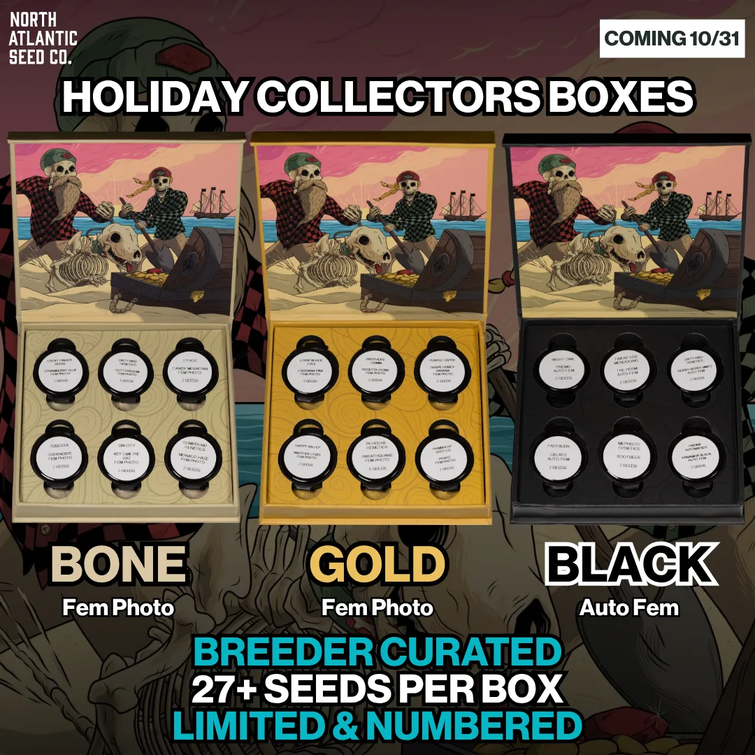 Holiday Collector's Boxes