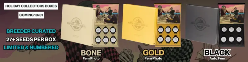 Holiday Collectors Boxes Coming Soon Banner