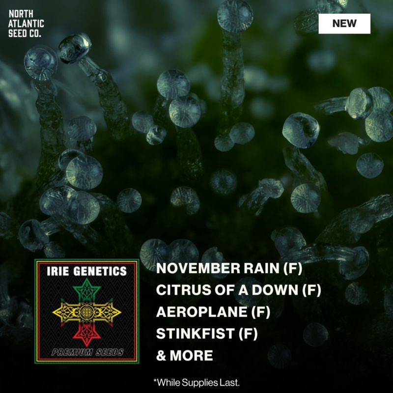 Irie Genetics New Strains 2026