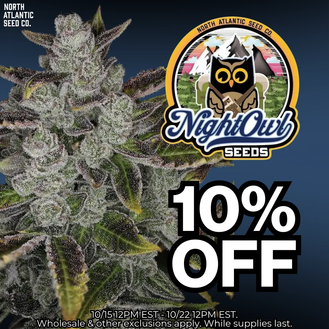 Night Owl Seeds