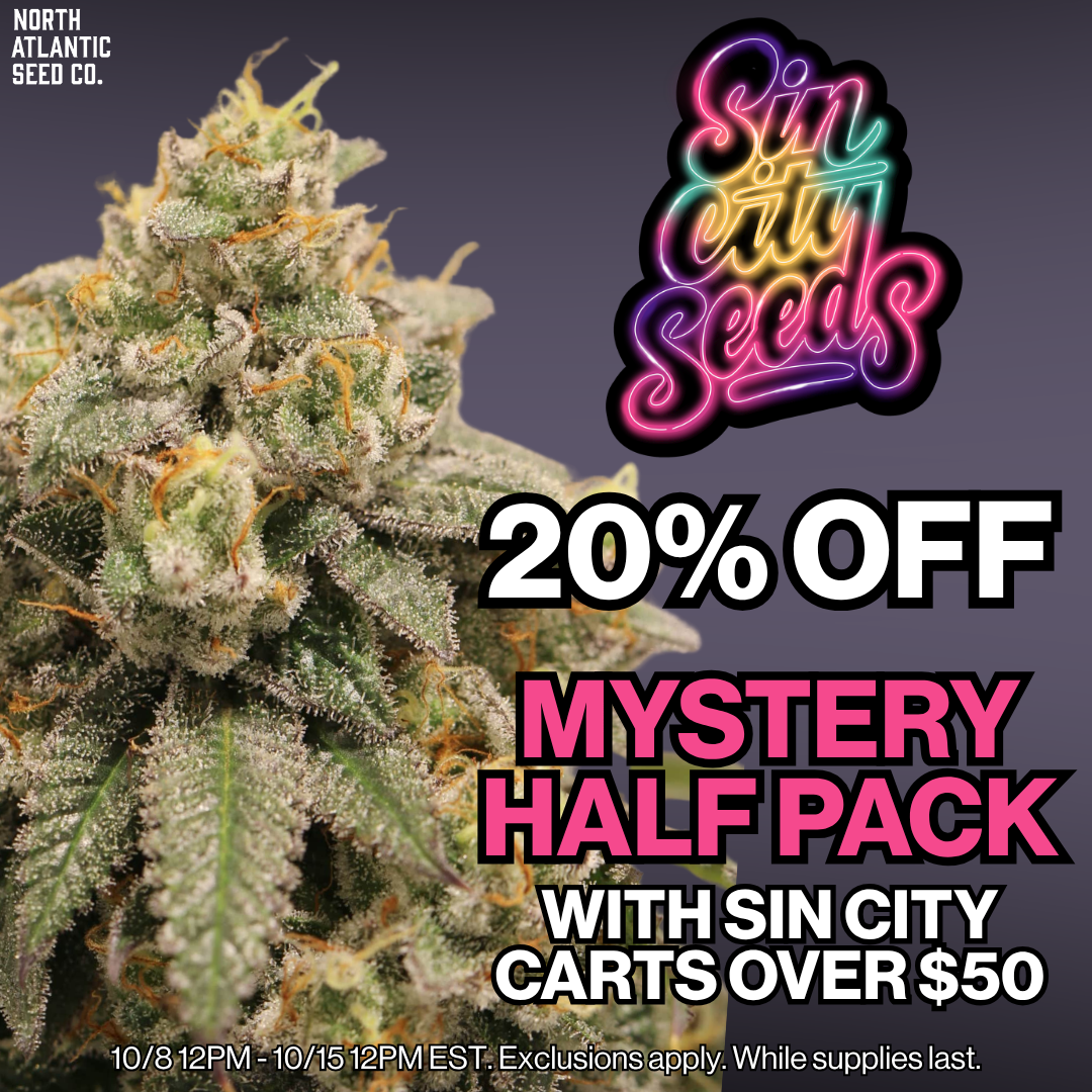 Sin City Seeds