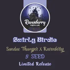 Swirly Birdie Cannabis Seeds by Mephisto Genetics