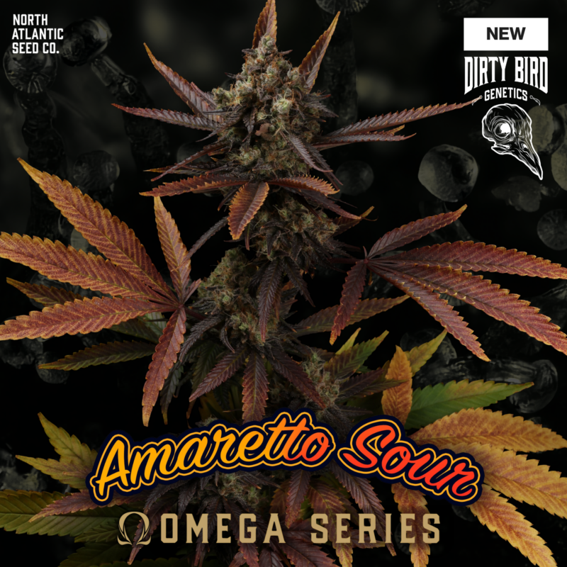 Dirty Bird Genetics - OMEGA Series