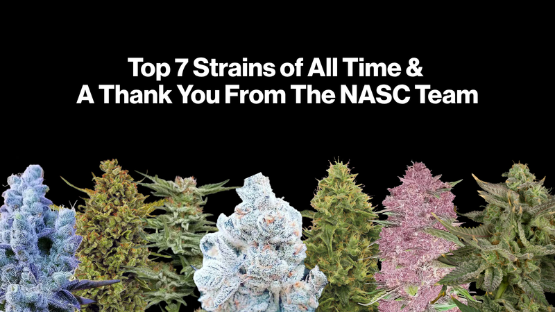 Top 7 Strains of All Time & A Thank You From The NASC Team