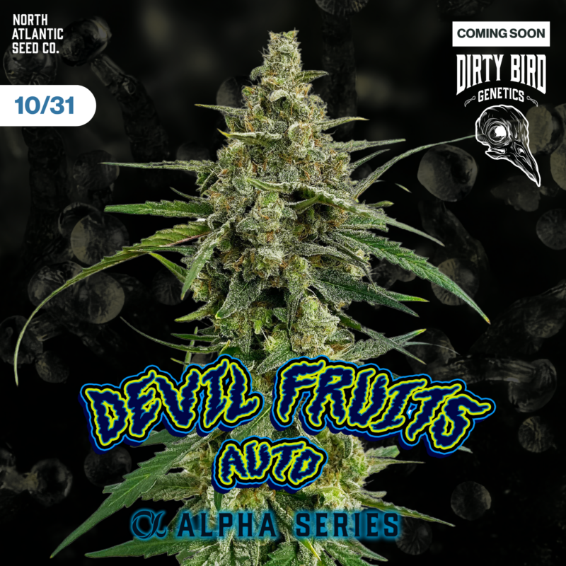 Dirty Bird Genetics - ALPHA Series Image
