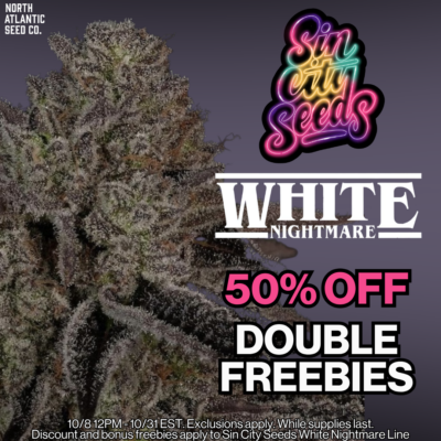 Sin City Seeds