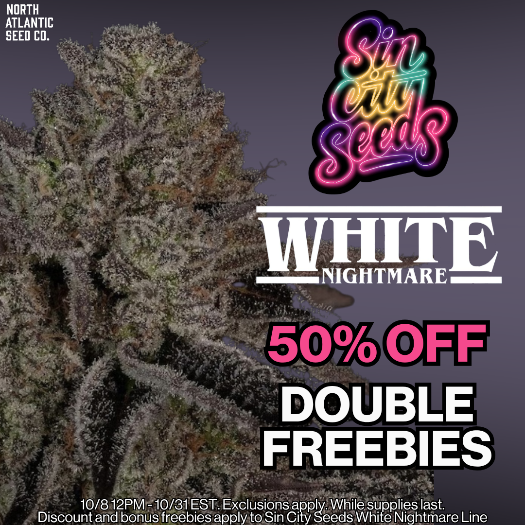 Sin City Seeds